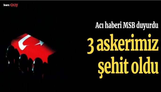 Kahreden haber! Pençe Yıldırım'da 3 askerimiz şehit oldu