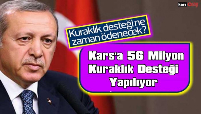 Kars'a 56 Milyon TL Kuraklık Desteği