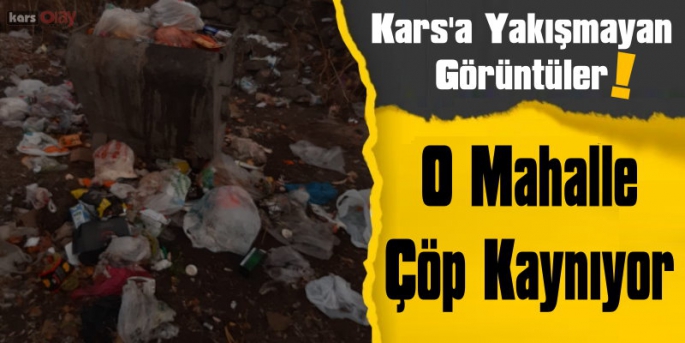 Kars'a Yakışmayan Görüntüler, O Mahalle Çöp Kaynıyor