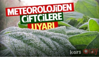 Kars'a Zirai Don Uyarısı