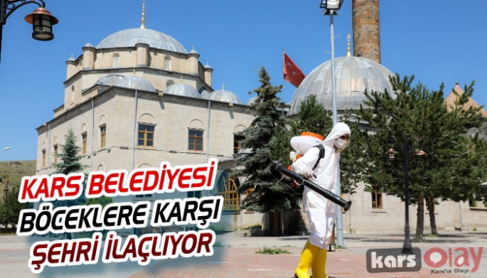 Kars Belediyesi Şehri İlaçlıyor