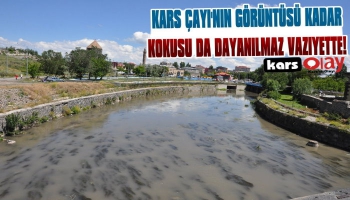 Kars Çayının Görüntüsü Kadar Kokusu da Dayanılmaz Halde