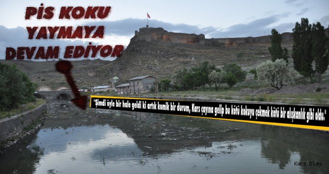 Kars Çayı Pis Koku Yaymaya Devam Ediyor