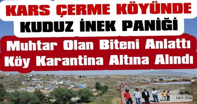 Kars Çerme Köyünde 'Kuduz İnek' Paniği