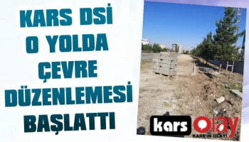 Kars DSİ O Yolda da Çevre Düzenlemesi Başlattı