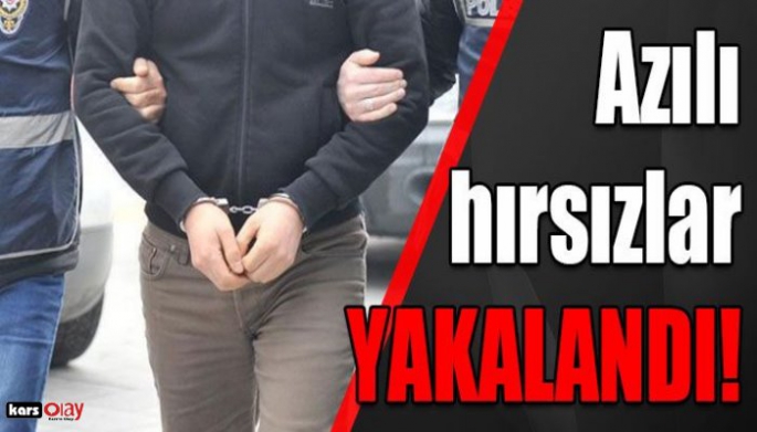 Kars'ın Azılı Hırsızları Yakalandı