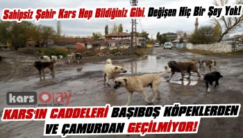 Kars'ın Caddeleri Başıboş Köpeklerden Ve Çamurdan Geçilmiyor!