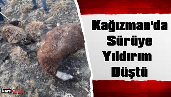 Kars'ın Kağızman İlçesinde  Koyun Sürüsüne Yıldırım Düştü! 