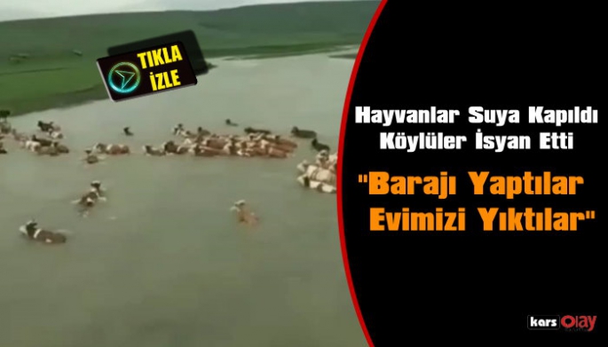 Kars'ın Susuz İlçesinde Sel Suları Ve Baraj Suyu Köylüleri Mağdur Etti