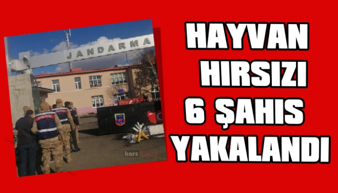 Kars Jandarma, Hayvan Hırsızı 6 şahsı yakaladı