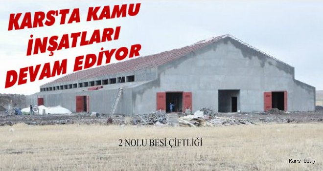 Kars Modern Besi Çiftliği ve Kesimhane İnşaatı Devam Ediyor
