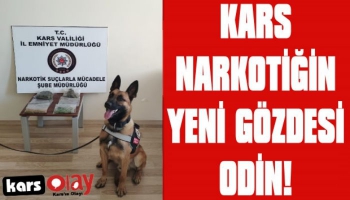 Kars Narkotiğin Yeni Gözdesi ODİN!