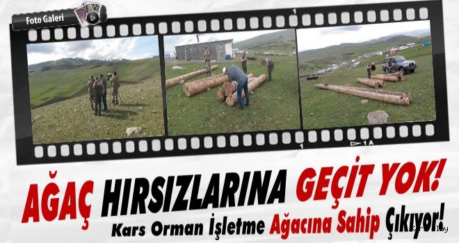 Kars Orman İşletmeden Kaçakçılara Darbe