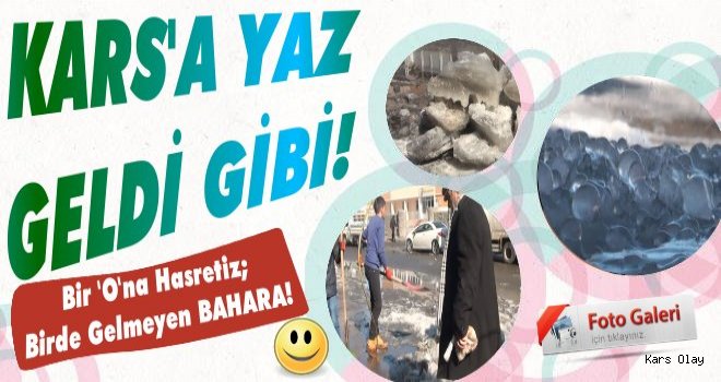 Kars Pastırma Yazını Yaşıyor