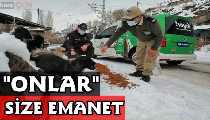 Kars Polisi sokak hayvanlarını yalnız bırakmadı.