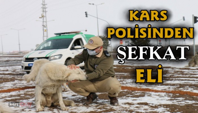 Kars Polisinden Şefkat eli