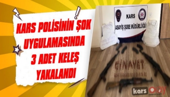 Kars Polisinin Şok Uygulamasında 3 Adet Keleş Yakalandı