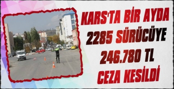 Kars'ta 1 Ayda  246 bin 780 TL Ceza Kesildi