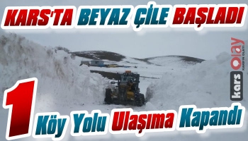 Kars'ta 1 Köy Yolu Ulaşıma Kapandı