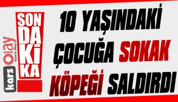 Kars'ta 10 Yaşındaki Çocuğa Sokak Köpeği Saldırdı