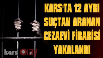 Kars'ta 12 Ayrı Suçtan Aranan O Firari Yakalandı