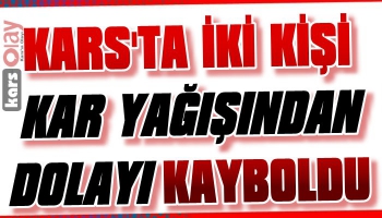 Kars'ta 2 Kişi Kar Yağışında Dolayı Kayboldu