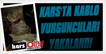  Kars’ta 25 Bin TL'lik Kablo Çalan Hırsızlar Yakalandı