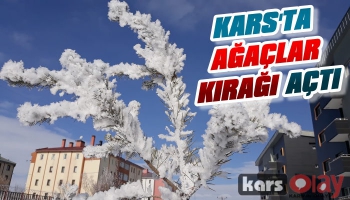 Kars'ta Ağaçlar Kırağı Açtı