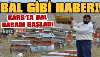 Kars’ta Bal Hasadı Başladı