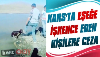 Kars’ta Eşeğe İşkence Eden Şahıslara Ceza