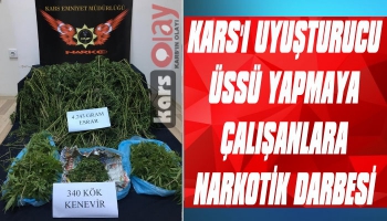 Kars'ta Esrar Operasyonu