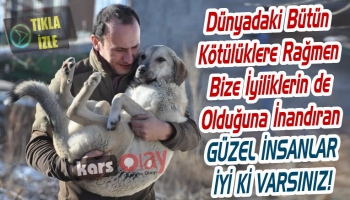 Kars’ta Hayatını Sokak Köpeklerine Adayan Banka Müdürü