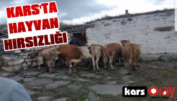 Kars'ta Hayvan Hırsızlığı