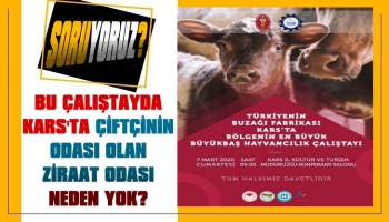 Kars’ta Hayvancılık Çalıştayı Düzenlenecek