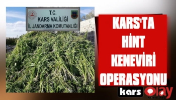 Kars'ta Hint Keneviri Operasyonu