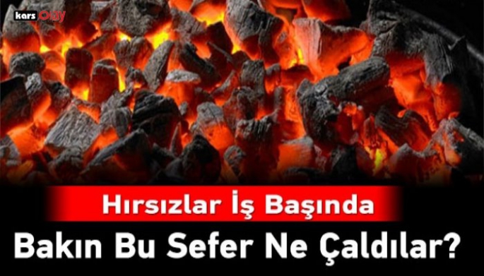 Kars'ta, hırsızlar kömür deposuna dadandı!