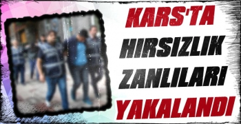 Kars'ta Hırsızlık Zanlıları Yakalandı