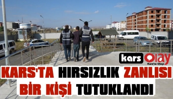 Kars'ta Hırsızlık Zanlısı Bir Kişi Tutuklandı