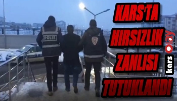 Kars'ta Hırsızlık Zanlısı Tutuklandı