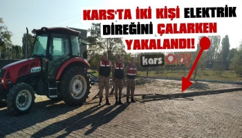 Kars'ta İki Kişi Elektrik Direğini Çalarken Yakalandı