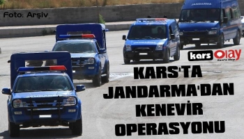 Kars'ta Jandarma'dan Kenevir Operasyonu