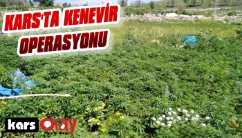 Kars'ta Jandarma'dan Kenevir Operasyonu