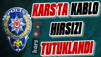 Kars'ta Kablo Hırsızı Tutuklandı