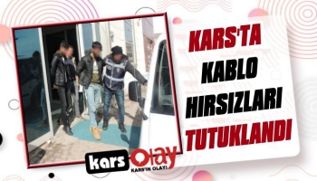 Kars'ta Kablo Hırsızları Tutuklandı