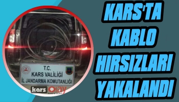 Kars'ta Kablo Hırsızları Yakalandı