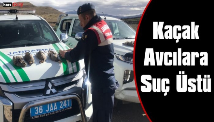 Kars'ta Kaçak Avcılara Suç Üstü