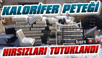 Kars'ta Kalorifer Peteği Hırsızları Yakalandı