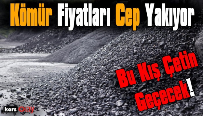 Kars'ta, Kömür Fiyatları Cep Yakıyor!