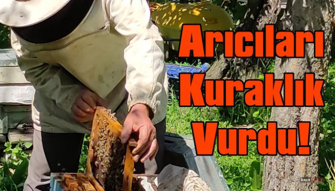 Kars'ta kuraklık arıcıları olumsuz etkiledi