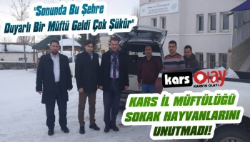 Kars'ta Müftülük Sokak Hayvanlarını Unutmadı